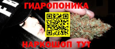 каннабис Кингисепп