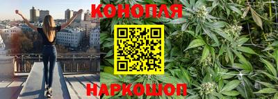 каннабис Кингисепп