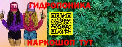 каннабис Кингисепп