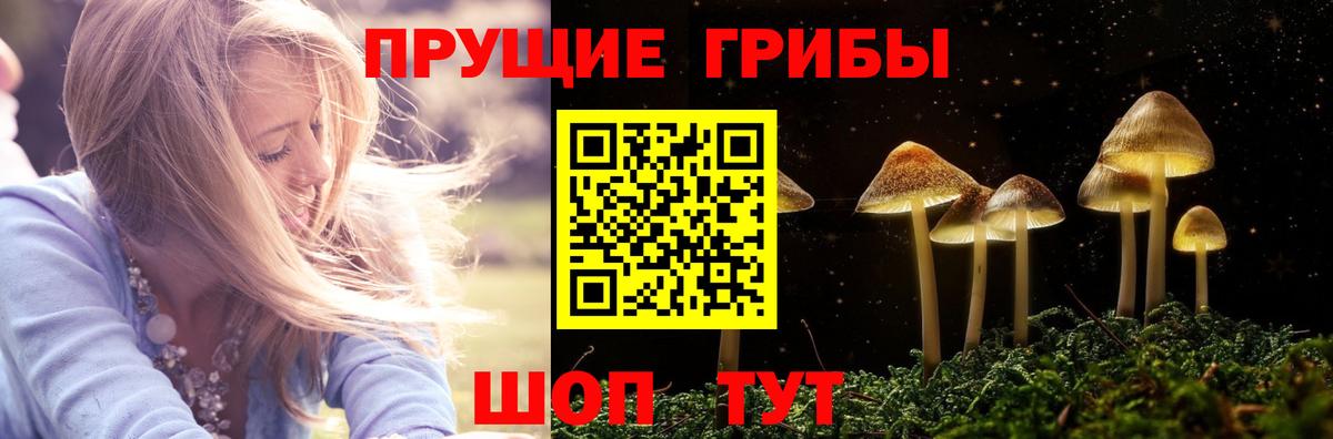 Псилоцибиновые грибы прущие грибы Королёв